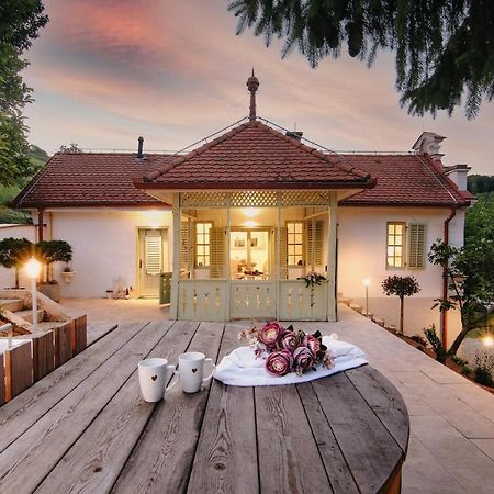 Vila Vilma Vineyard Cottage Lendava Exterior foto