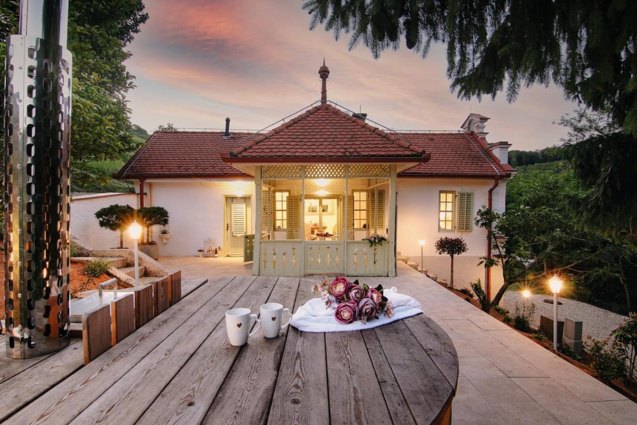 Vila Vilma Vineyard Cottage Lendava Exterior foto