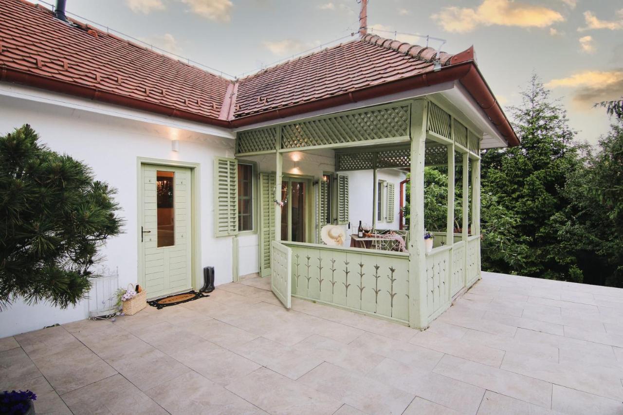 Vila Vilma Vineyard Cottage Lendava Exterior foto